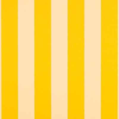 Beaufort Yellow/White