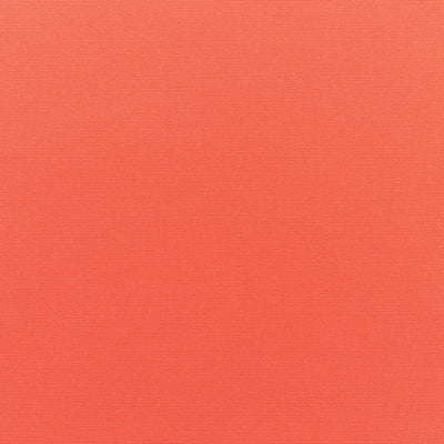 Melon