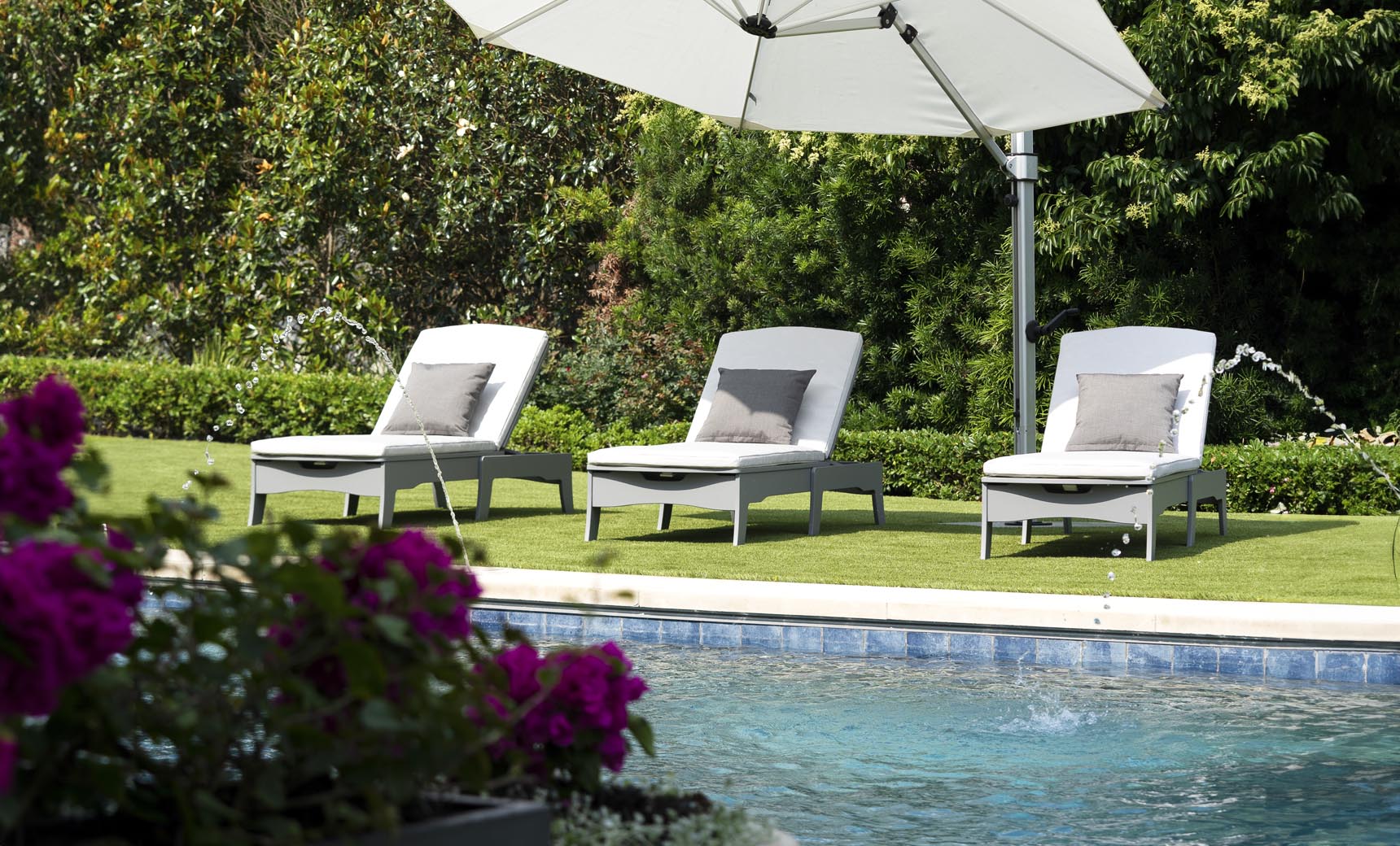 Three Ledge Lounger Legacy Chaise lounges in white with gray cushions recline on a lawn by a pool, shaded by a large white umbrella. The area is bordered by pink flowers and green bushes, creating tranquility.