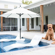 A couple of in pool chaise loungers, an in-pool umbrella, side table, and dogs in the backyard.