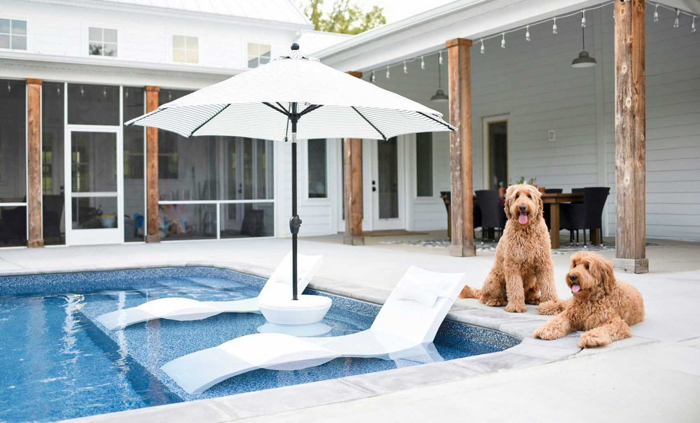 A couple of in pool chaise loungers, an in-pool umbrella, side table, and dogs in the backyard.