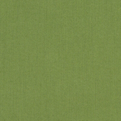 Spectrum Cilantro