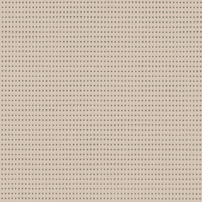 Sandy Beige