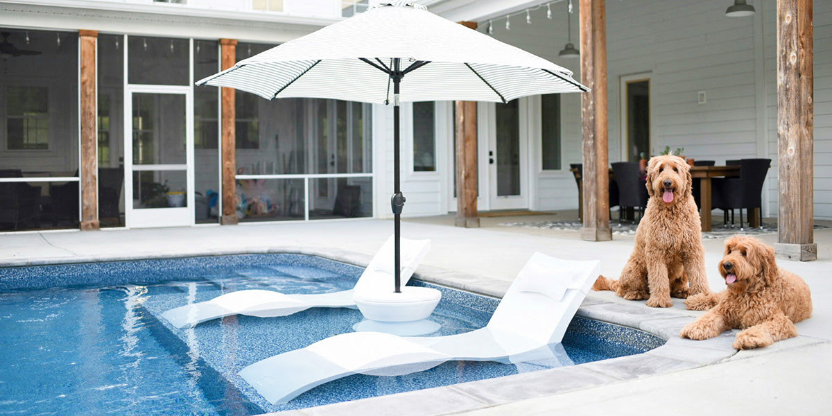 Dogs hanging out near the pool ledge, which is set up with Ledge in-pool chaise loungers and an umbrella