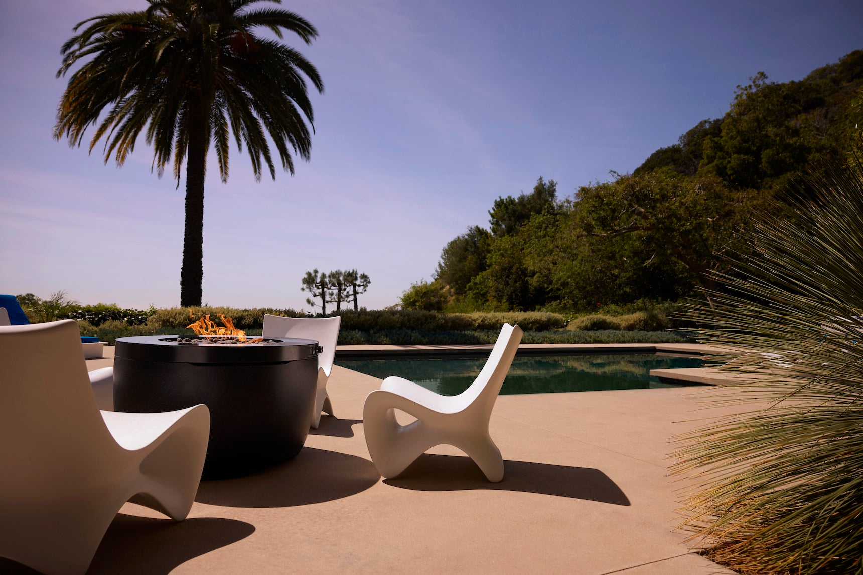 Ledge Lounger Autograph Chairs surround a round fire pit by the pool on a sunny patio, with lush greenery and a palm tree in the background under a clear sky.