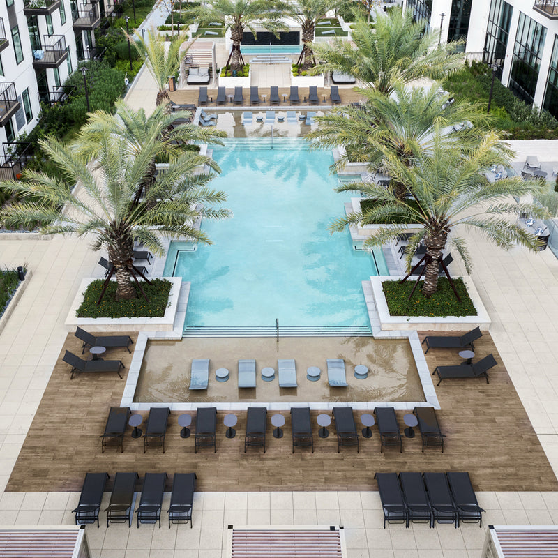 Houston Palms
