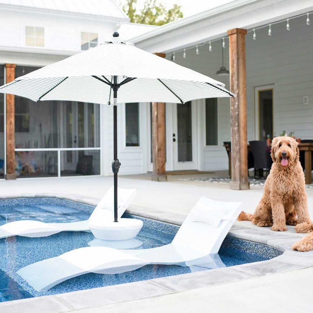 A couple of in pool chaise loungers, an in-pool umbrella, side table, and dogs in the backyard.